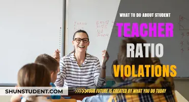 Addressing Student-Teacher Ratio Violations: Strategies for Schools and Parents