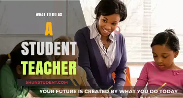 Essential Tips for Student Teachers: Navigating the Classroom with Confidence