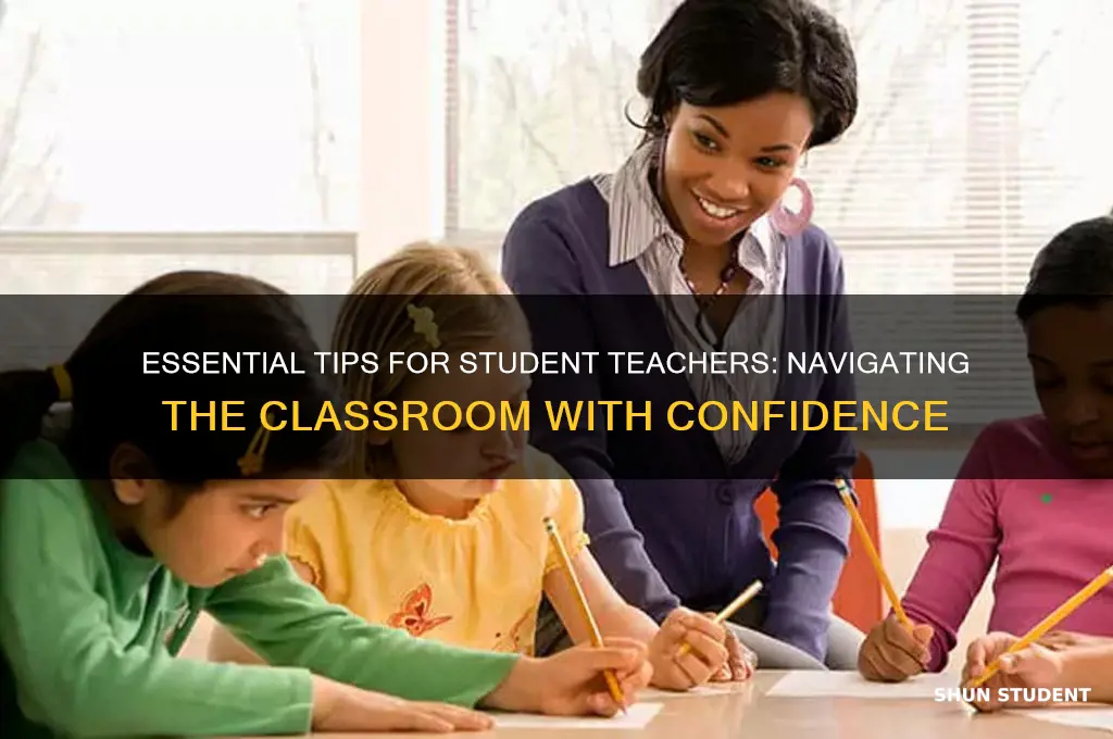 what to do as a student teacher