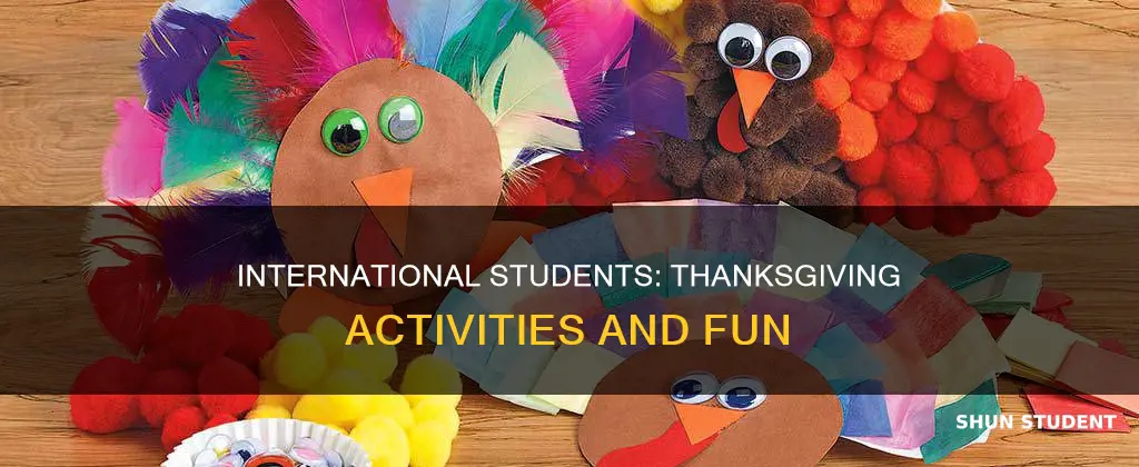 what to do during thanksgiving international student