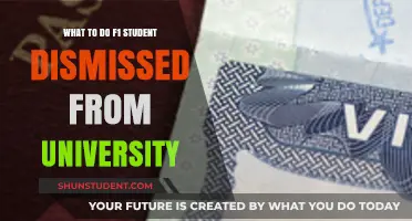 Dismissed From University: Options for F1 Students