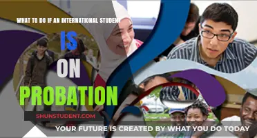 Strategies for International Students on Probation