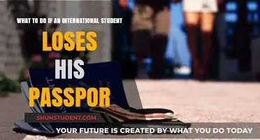 Lost Passport? Here's What International Students Should Do