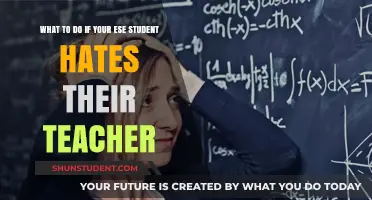 Supporting ESE Students: Strategies When They Dislike Their Teacher