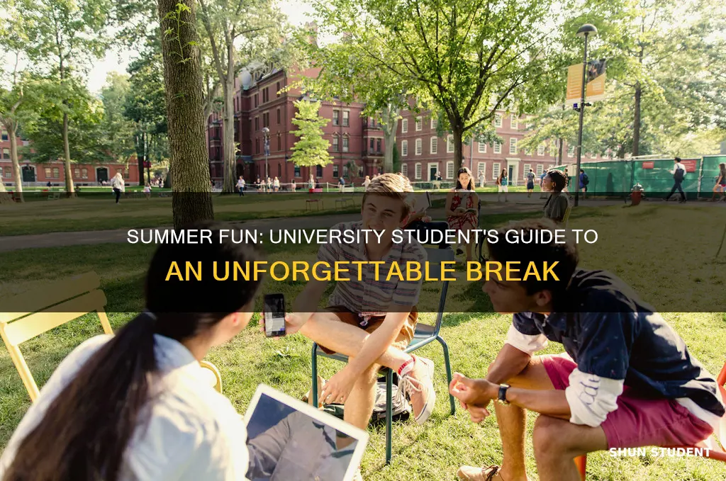 what to do over the summer university student