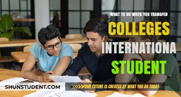 International Student Transfers: Steps for a Smooth Transition