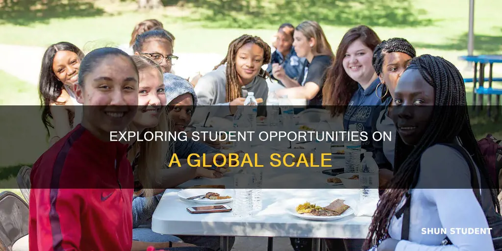 what to do with students internationally