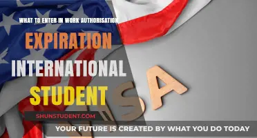 Work Authorisation Expiration: International Student's Guide