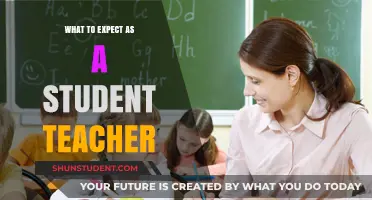 Navigating the Classroom: A Student Teacher's Journey and Expectations