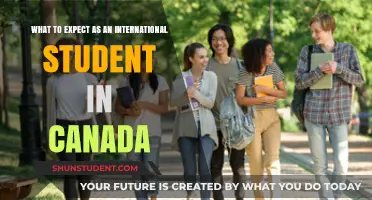 International Students in Canada: What to Expect