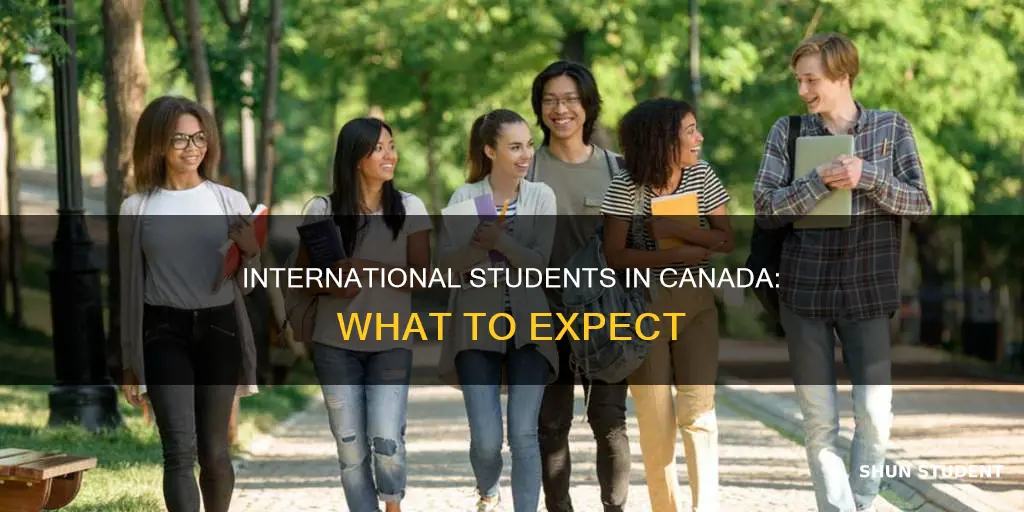 what to expect as an international student in canada