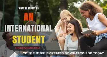 A Guide for International Students: What to Expect