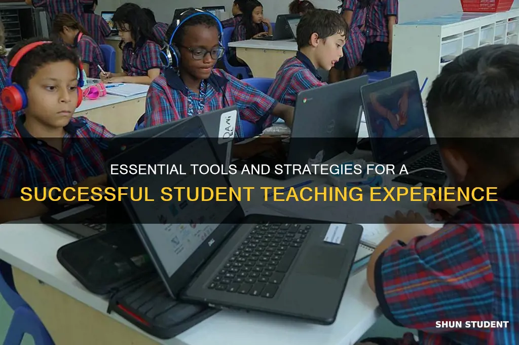 what to have during student teaching