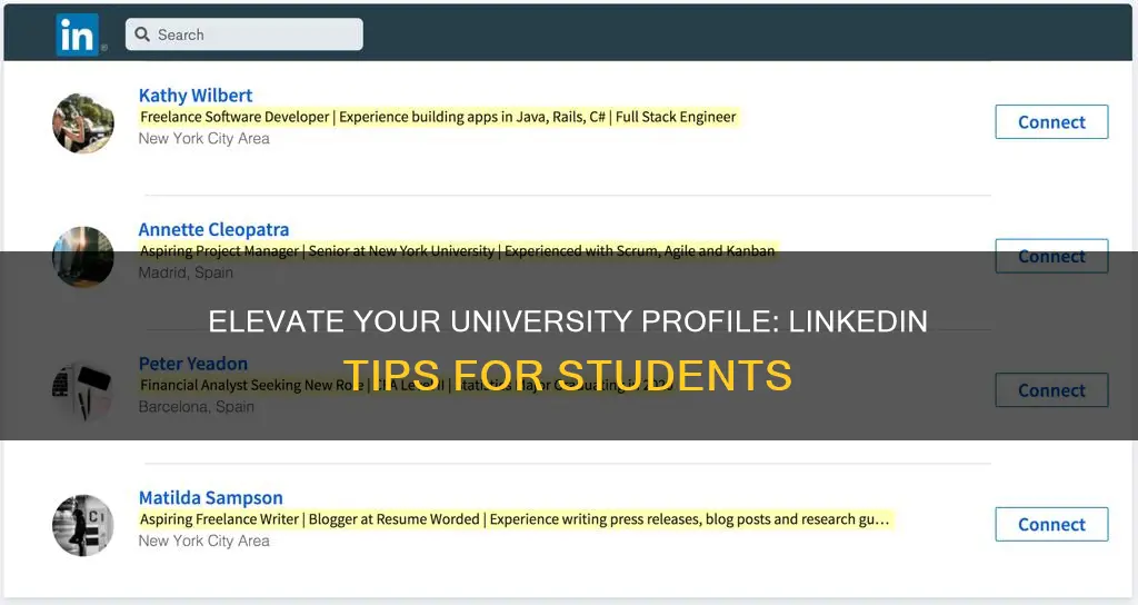 what to include as a university student on linkedin