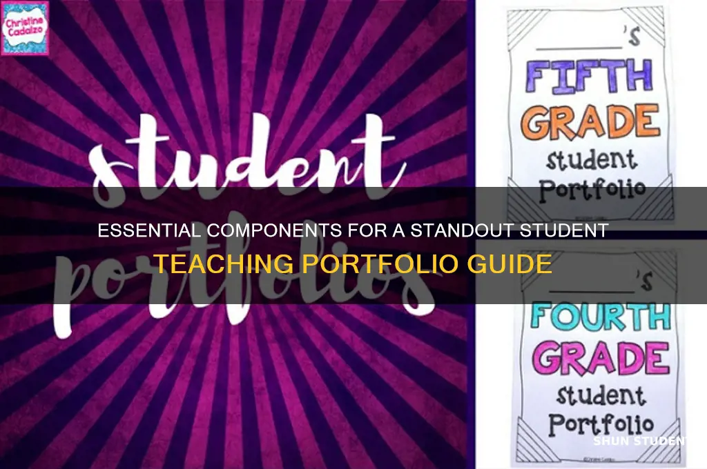 what to include in a student teaching portfolio