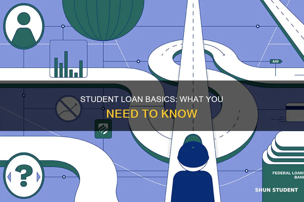 what to know about paying student loans