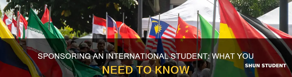 what to know when sponsoring an international student