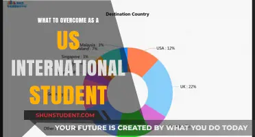 Navigating Challenges: A US International Student's Guide