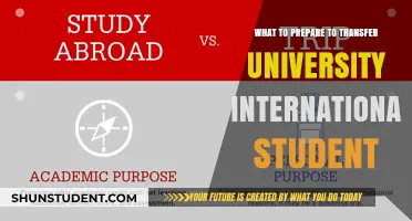 International Student University Transfers: Preparation Essentials