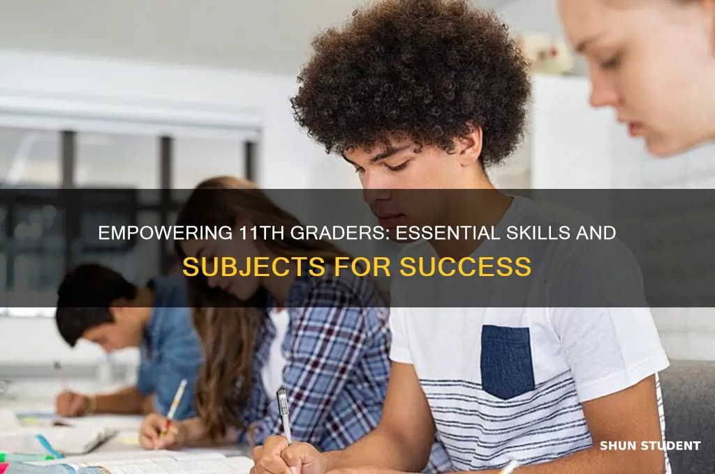 what to teach 11th grade students