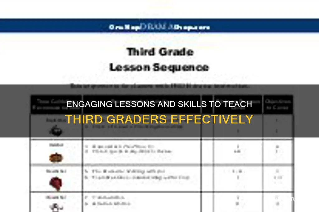 what to teach 3rd class student