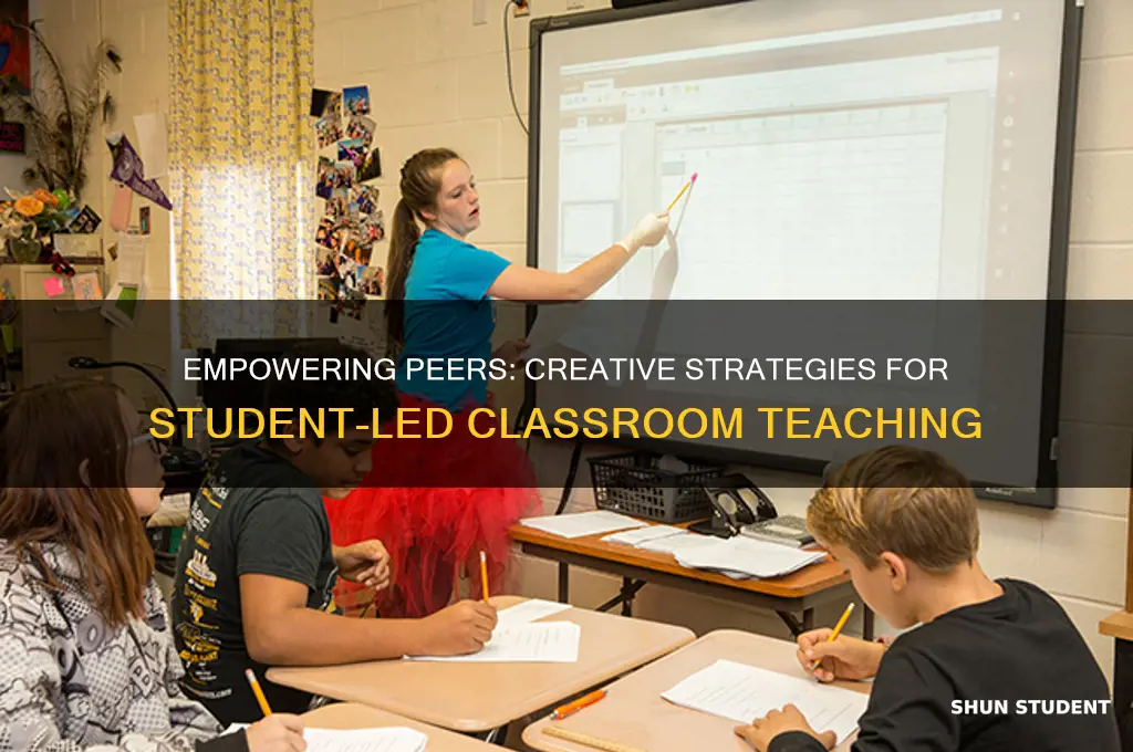 what to teach a class as a student