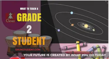 Essential Skills and Lessons to Teach a Grade 2 Student