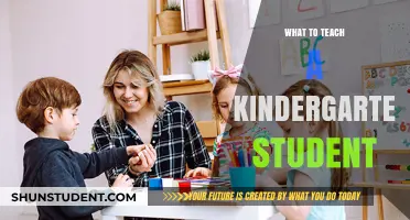 Essential Skills and Lessons for Kindergarteners: A Comprehensive Teaching Guide