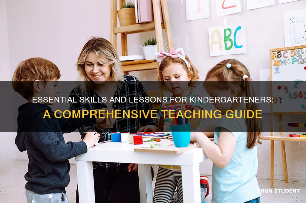 what to teach a kindergarten student