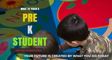 Essential Skills and Activities to Teach Pre-K Students for Early Learning Success