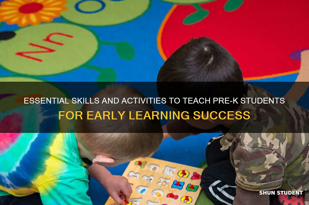 what to teach a pre k student