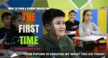 Essential Strategies for Teaching English to Beginners Effectively