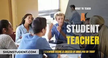 Empowering Student Teachers: Essential Skills and Strategies for Classroom Success