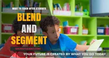 Beyond Blending and Segmenting: Next Steps in Early Literacy Instruction