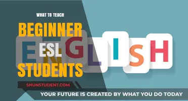 Essential Skills and Strategies for Teaching Beginner ESL Students