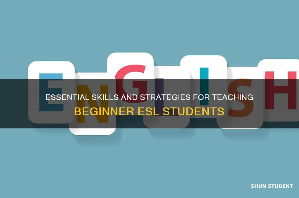 what to teach beginner esl students