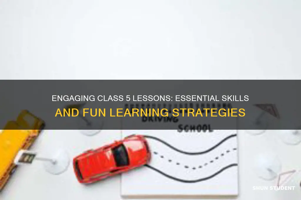 what to teach class 5 students