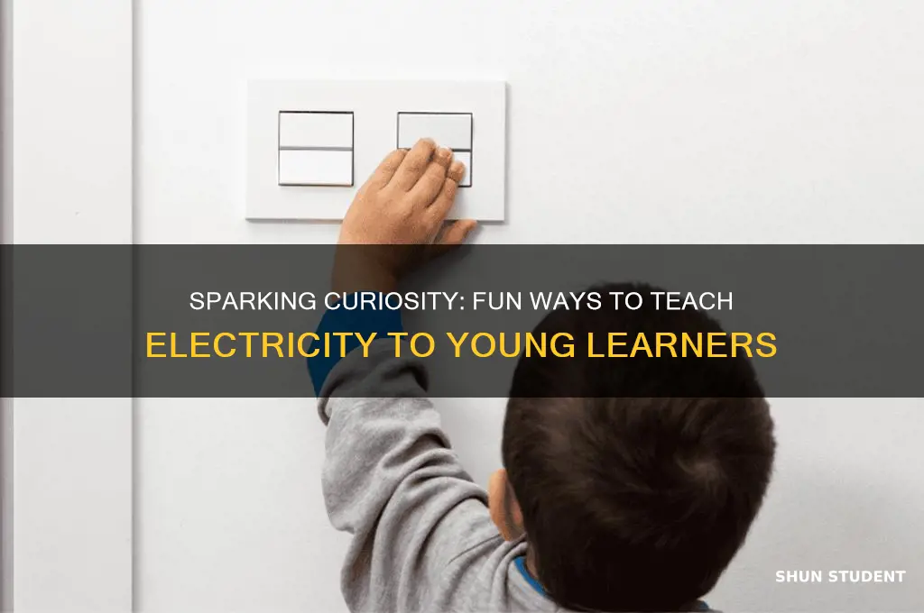 what to teach electricity to elementary students