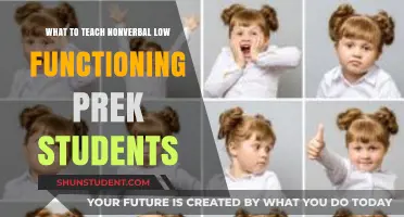 Empowering Nonverbal Pre-K Learners: Essential Skills for Low-Functioning Students