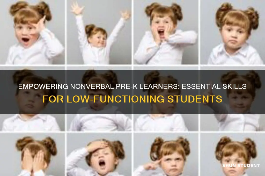 what to teach nonverbal low functioning prek students