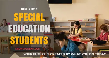 Empowering Special Education Students: Essential Skills and Strategies to Teach