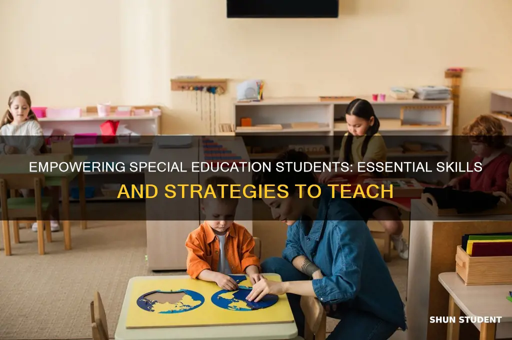 what to teach special education students