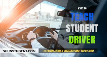 Essential Driving Skills Every Student Driver Needs to Master Safely