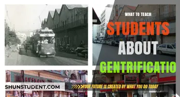 Teaching Gentrification: Empowering Students to Understand Urban Change