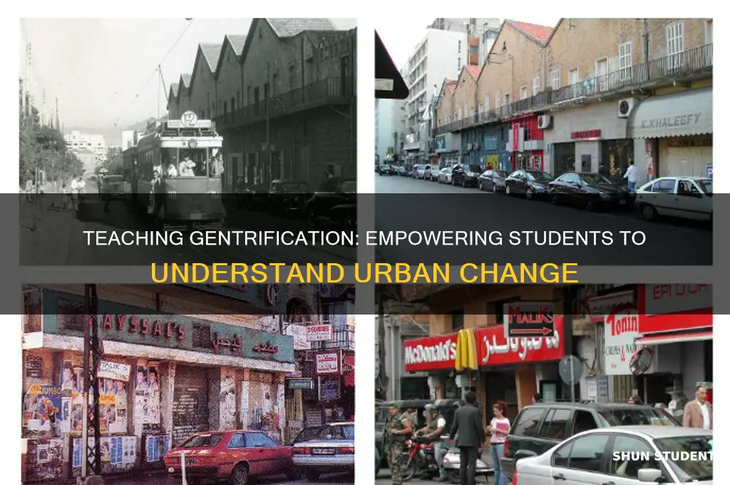 what to teach students about gentrification