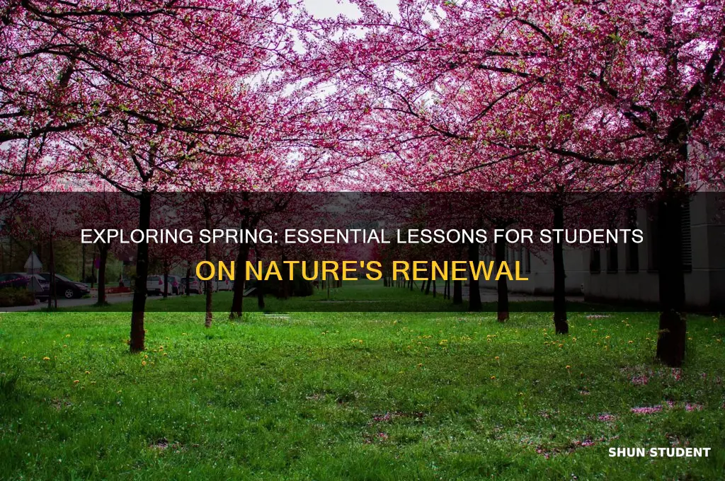 what to teach students about spring