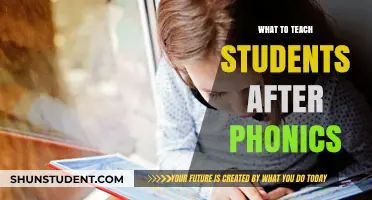 Beyond Phonics: Essential Skills to Teach Students for Reading Mastery