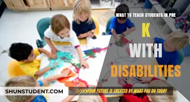 Empowering Pre-K Learners: Inclusive Strategies for Students with Disabilities