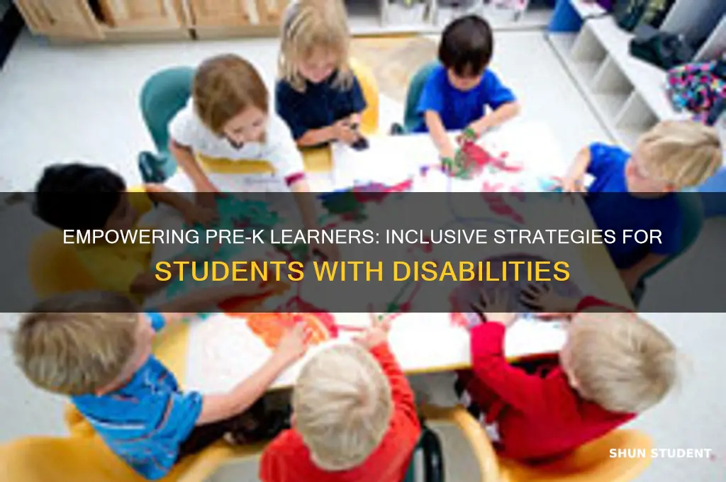 what to teach students in pre k with disabilities