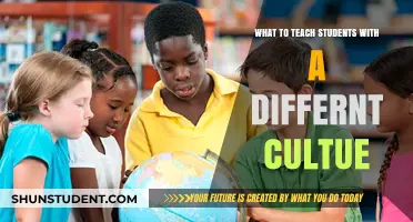 Cultural Bridges: Essential Lessons for Diverse Student Success
